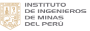Instituto de Ingenieros de Minas del Peru